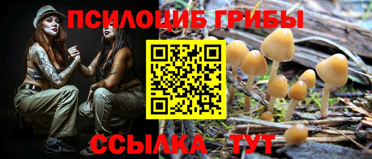Кемерово  Галлюциногенные грибы прущие грибы  Вход с VPN  цена   Галлюциногенные грибы мухоморы 